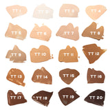 Truth Tint Sheer Skin Tint TT1